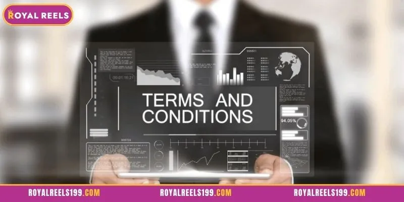 Important Terms and Conditions Users Need to Grasp