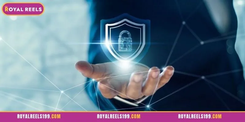 Overview of the privacy policy at Royal Reels